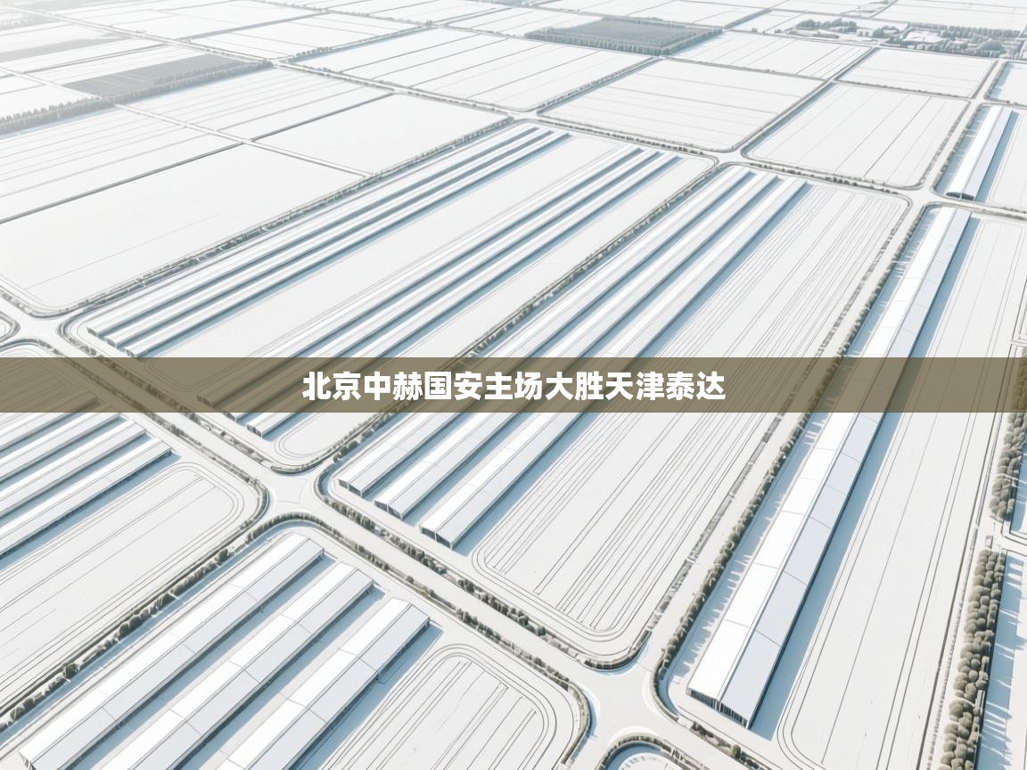 开云直播-北京中赫国安主场大胜天津泰达  第2张