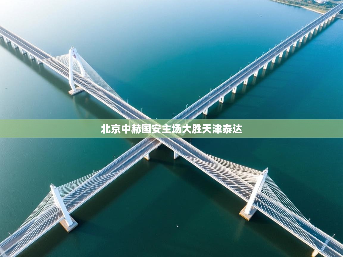 开云直播-北京中赫国安主场大胜天津泰达  第3张